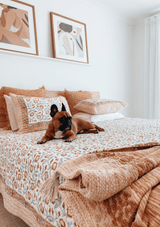 Jaipur Spring - Queen/King Set - Scar & Ko